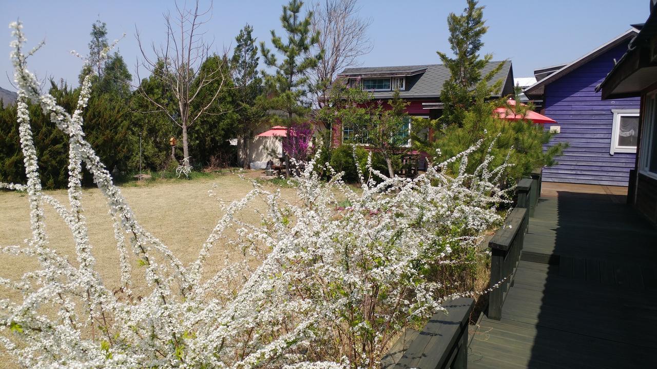 Windflower Vila Gyeongju Exterior foto
